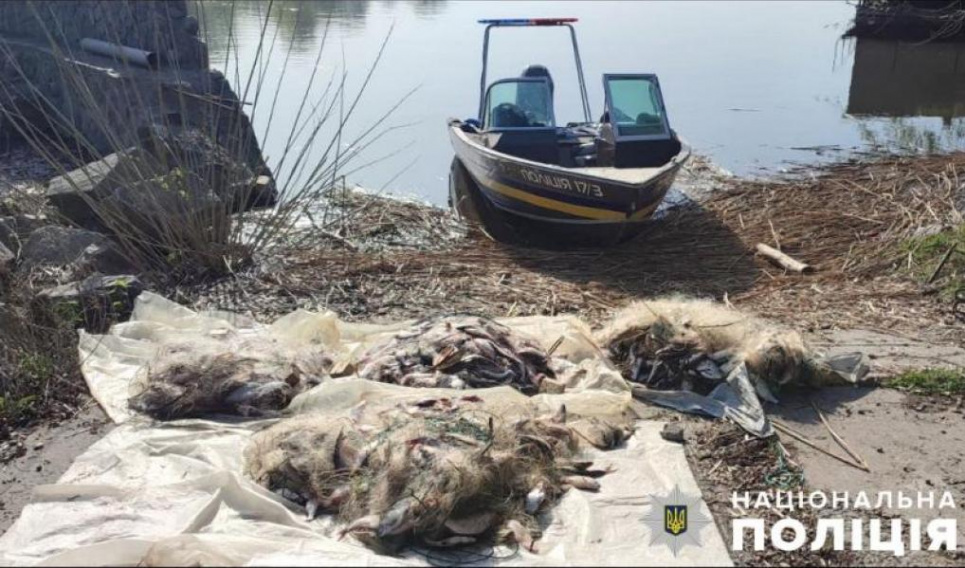 На Полтавщине из водоема изъято 400 метров браконьерских сетей с рыбой На Полтавщине у браконьера изъято 400 метров сетей с рыбой