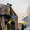 В Одеській області на фермі згоріло 11 свиней