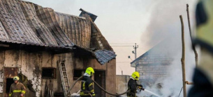 В Одесской области на ферме сгорело 11 свиней