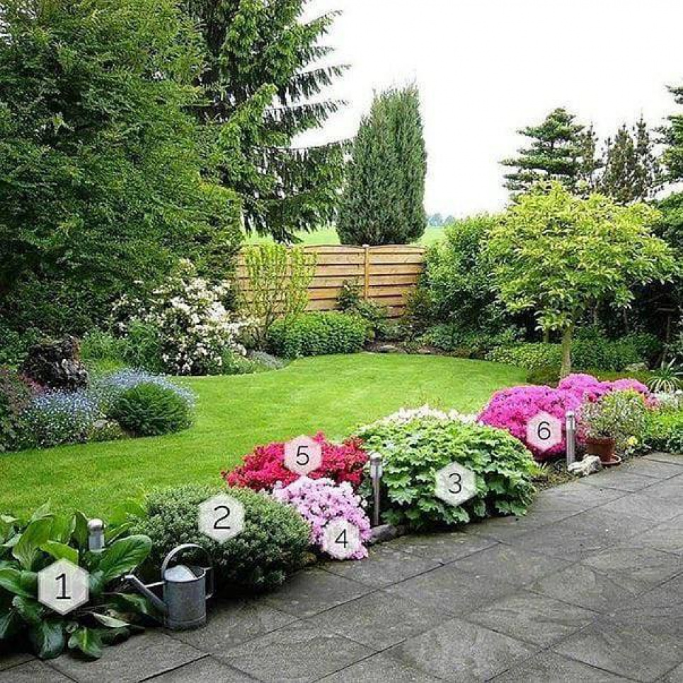 Поєднання, яке може створити гармонійний образ, що привертає увагу та радує око: чудовий мікс для саду (ФОТО) Фото: Телеграм-канал «Дача. Сад та город»