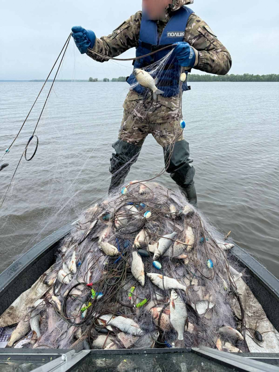 З Сулинського заказника вилучено 1,5 кілометри сіток