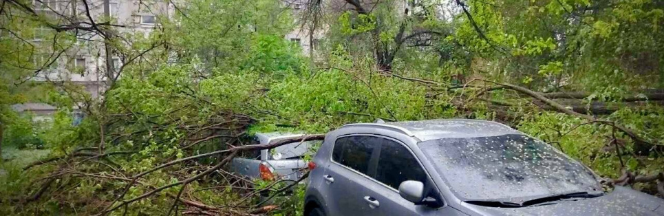 Поваленные деревья, перекрытые улицы - из-за непогоды в Одессе просят ограничить перемещение и поездки (ФОТО) В Одессе - штормовое предупреждение