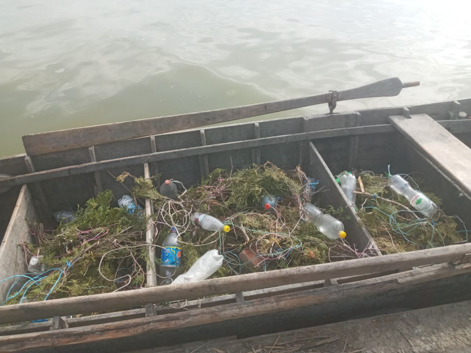 На водоймах Одеської області встановлено 1000 нерестових гнізд (ФОТО) На водоймах Одеської області встановлено 1 000 нерестових гнізд