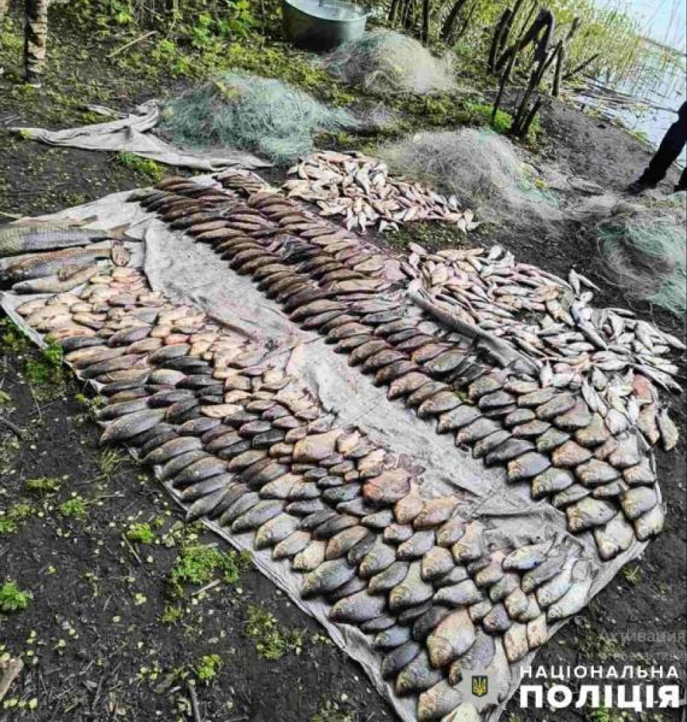 На заказнике Кременчугского водохранилища браконьер "наловил" рыбы на 3 года тюрьмы На заказнике Кременчугского водохранилища обнаружили браконьера
