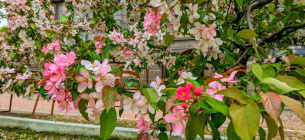 Погода на Пасху: будет ли дождь на Пасху Погода на Пасху