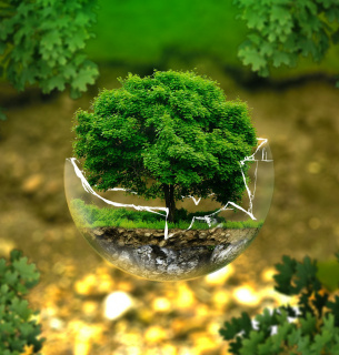 Реформа Довкілля ЕкоЗагроза Екологічні збитки