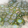 Зображення: URB/SWNS