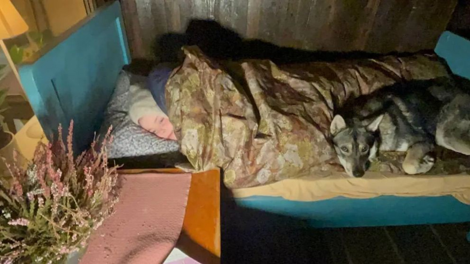 Навіть коли температура опускається до -30 °С: 10-річна дівчинка з Норвегії вже три роки спить надворі Фото: BILD