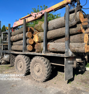 Разоблачило масштабные незаконные рубки деревьев