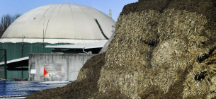 Биогазовая установка в австрийской федеральной земле Бургенланд использует в качестве сырья траву, клевер, стебли подсолнечника. Фото: Robert Jäger/APA/picture alliance