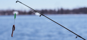 В рыбинспекции рассказали, как рыба в Днепре реагирует на воздушные тревоги