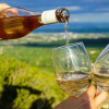 Закон о винограде и вине 2026: новые правила маркировки и регистрации