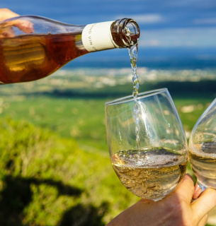 Закон про виноград і вино 2026: нові правила маркування та реєстрації