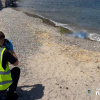 Тіло загиблої поліцейської знайдено