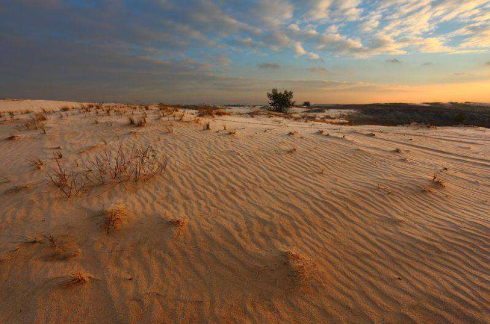 Кицевские пески
Фото: iGotoWorld