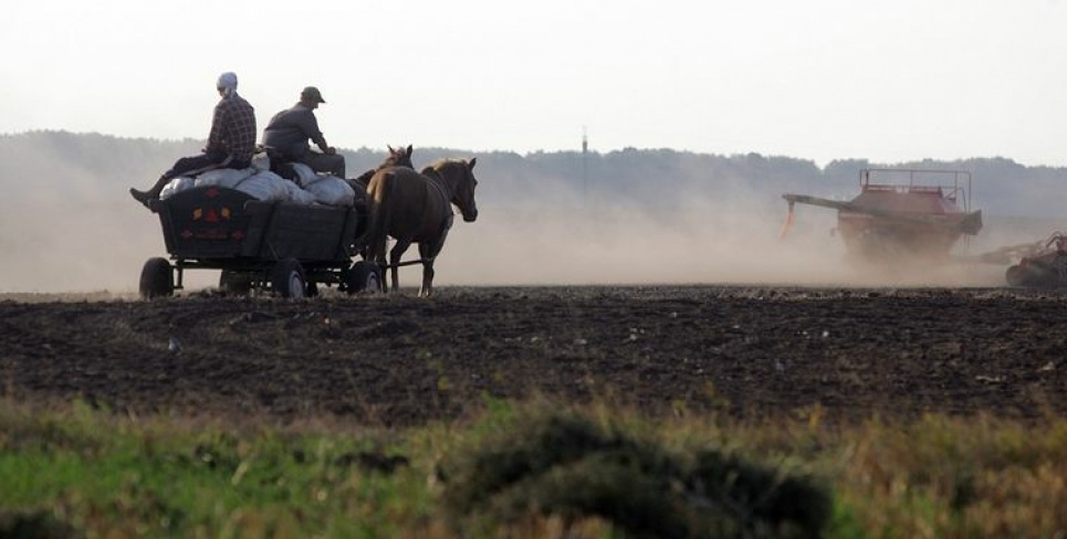 В семи областях Украины проведут инвентаризацию земель природно-заповедного фонда Инвентаризация земель природно-заповедного фонда