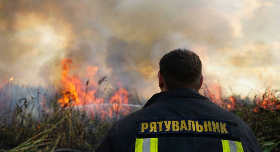Спасатели ликвидировали масштабный пожар в экосистемах в Одесской области. Фото: ГСЧС Одесчины