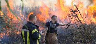 21 пожежу в екосистемах Запоріжжя гасили за минулу добу.
Фото ілюстративне