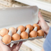 Як вибрати безпечні яйця