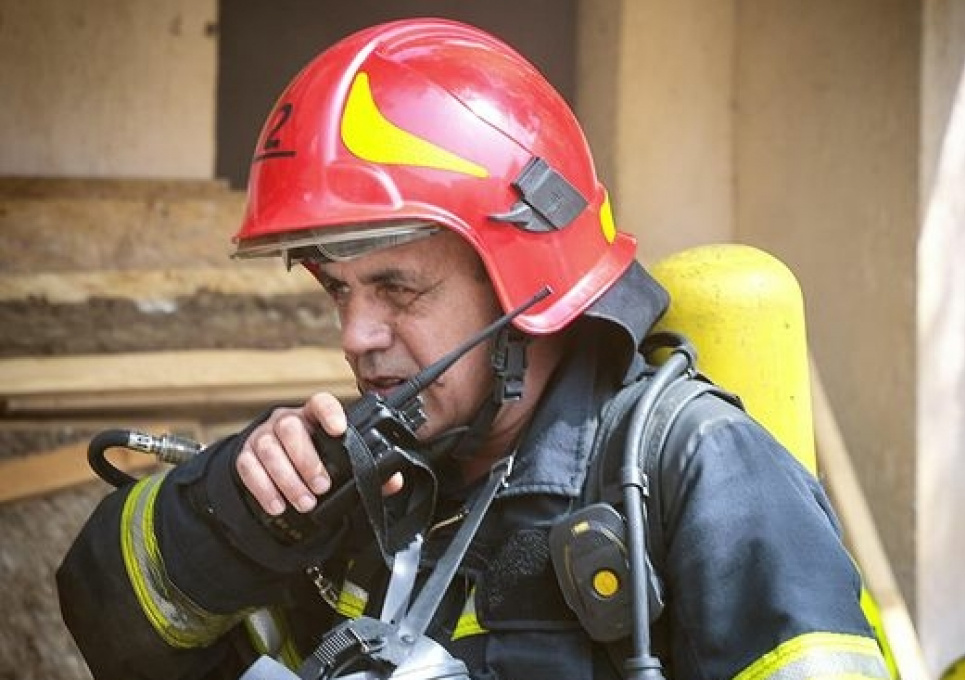 Через пожежу 18 домашніх тварин згоріло живцем 18 домашніх тварин загинуло через пожежу