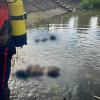 На Закарпатті втопилось двоє дівчат