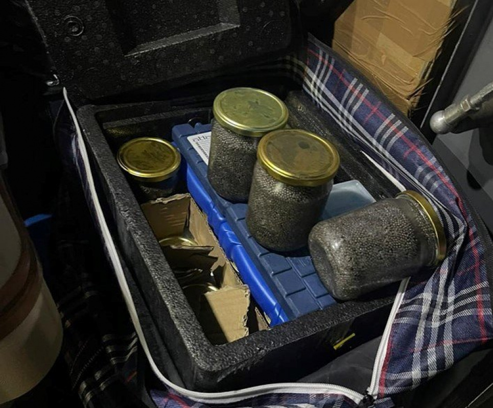 Волынянин пытался ввезти в Украину 15 кг осетровой икры Волынянин пытался ввезти в Украину 15 кг осетровой икры