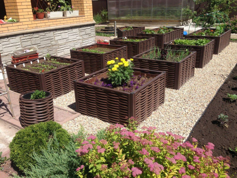 Полімерна лоза — інноваційний матеріал для садівництва (ФОТО) Фото: Телеграм-канал «Садівник»