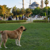 Фото: Deutsche Welle