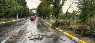 ДТЕК повідомляє про пошкодження мереж через негоду на Київщині.
Фото "Суспільне"
