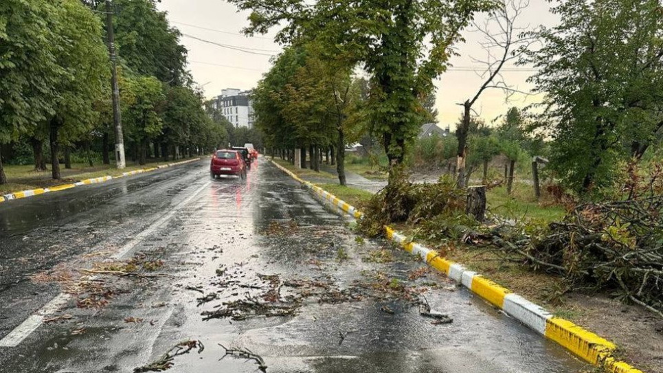 ДТЕК повідомляє про пошкодження мереж через негоду на Київщині.
Фото "Суспільне"
