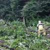 На Закарпатті триває ліквідація наслідків бурі 