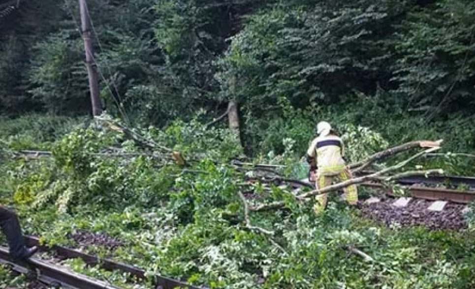 На Закарпатті триває ліквідація наслідків бурі 