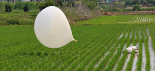 Запущена КНДР повітряна куля на полі в Південній Кореї. Фото: Yonhap/picture alliance