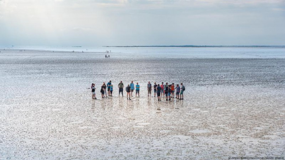 ЮНЕСКО критикує Німеччину, Данію та Нідерланди за видобуток копалин у Ваттовому морі Фото: Deutsche Welle