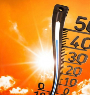 Спека до +35°C: на Одещині зросла кількість теплових ударів, медики б'ють на сполох Спека в Одесі: зросла кількість теплових ударів, медики дали поради
Фото: grivna.ua