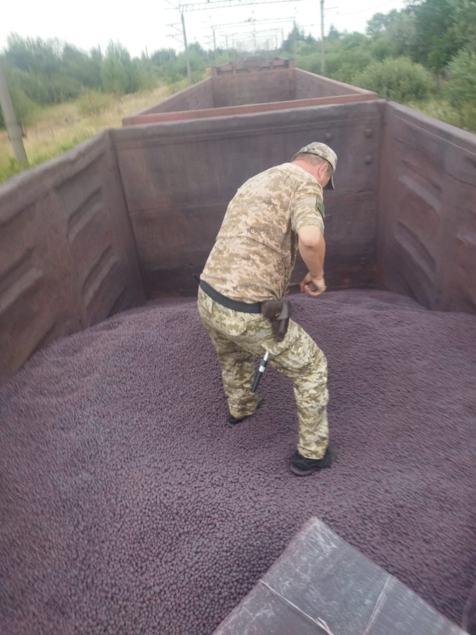 На границе со Словакией в грузовом поезде нашли контрабандные сигареты в грузовом поезде