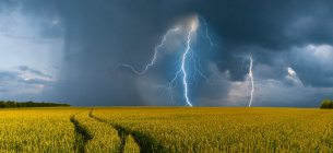 Украина готовится к аномальному лету: жара, пожары и природные катаклизмы Аномальное лето 2025 года: Украину ждут засуха, пожары и стихийные явления. Фото: Метеофор