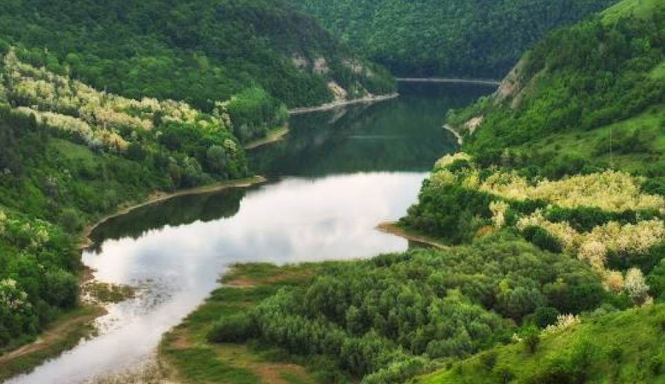 Екотуризм в Україні: як нові стежки збагачують природу і громади Екотуризм в Україні: інновації та рекорди 2024 року