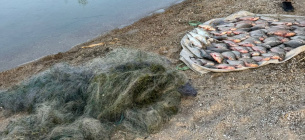 Браконьєри наловили водних біоресурсів на майже півмільйона гривень. Фото ілюстративне