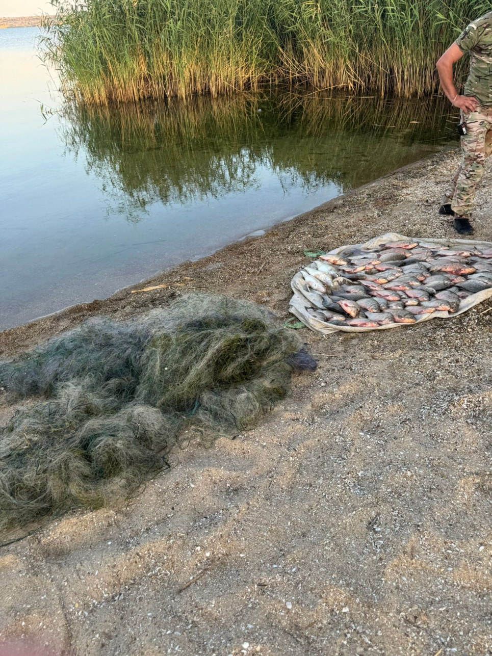 Браконьєри наловили водних біоресурсів на майже півмільйона гривень. Фото ілюстративне