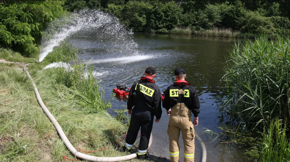 Риба гине тоннами: Польща бореться із золотистими водоростями в притоках Одера Пожежники закачують кисень у бічний канал Одера влітку 2023 року, щоб боротися з ростом токсичних золотистих водоростей. Фото: Krzysztof Swiderski/dpa