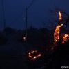 Фото: Deutsche Welle