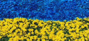 Нене, а Тобі вже 33! Сьогодні відзначаємо День Незалежності України ФОТО: День Незалежності України