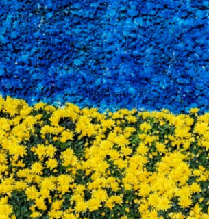 День Незалежності України — головне державне свято День Незалежності України — головне державне свято