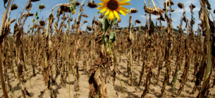 Молдова, Украина, Швейцария: 10 стран с самым быстрым потеплением находятся в Европе. Фото: иллюстративное