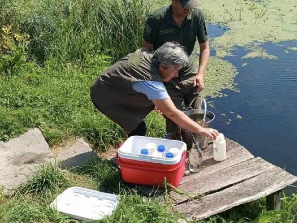 Из волынской реки взяли пробы воды