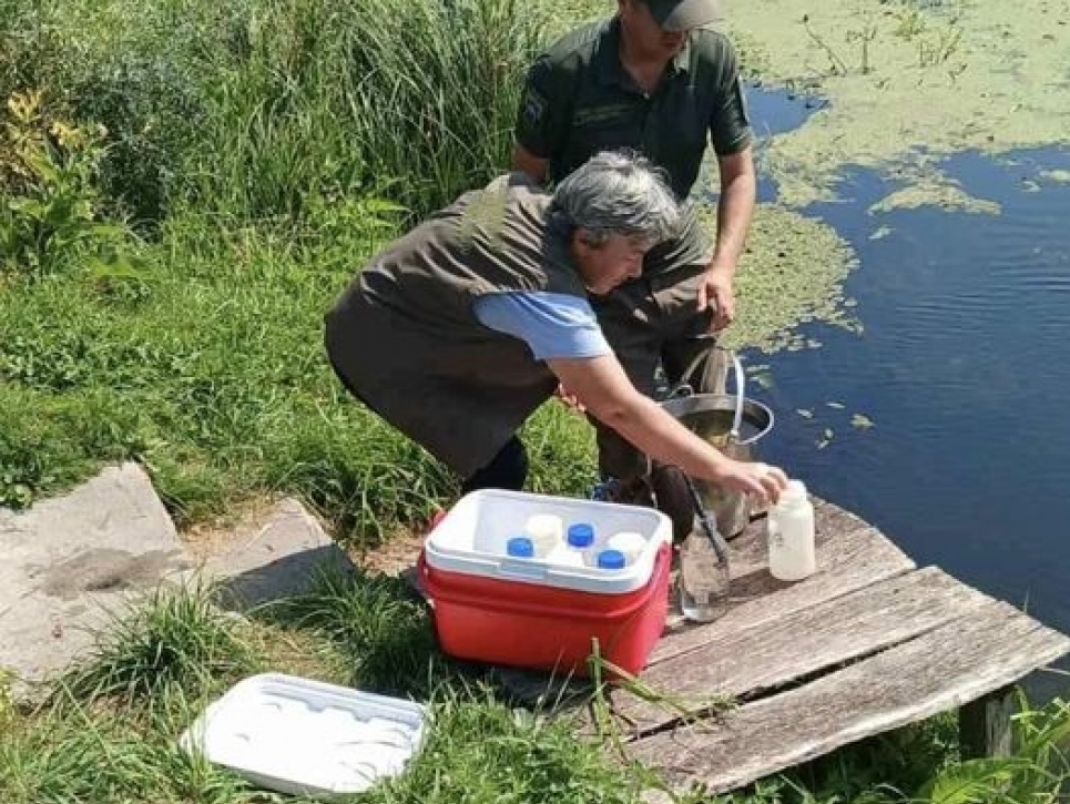 Неприятный запах и неестественный цвет: из волынской реки взяли пробы воды Из волынской реки взяли пробы воды