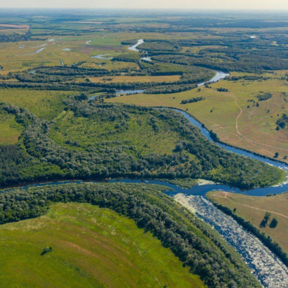 Вжиті заходи для локалізації та ліквідації наслідків забруднення річок Сейм та Десна.
ФОТО: річка Десна