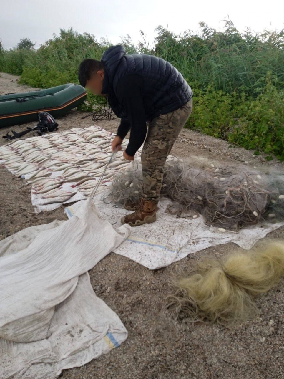Рейд на Одещині: викрито браконьєрів із 260 незаконно добутими судаками Викрито браконьєрів із 260 незаконно добутими судаками