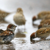 ФОТО: иллюстративное